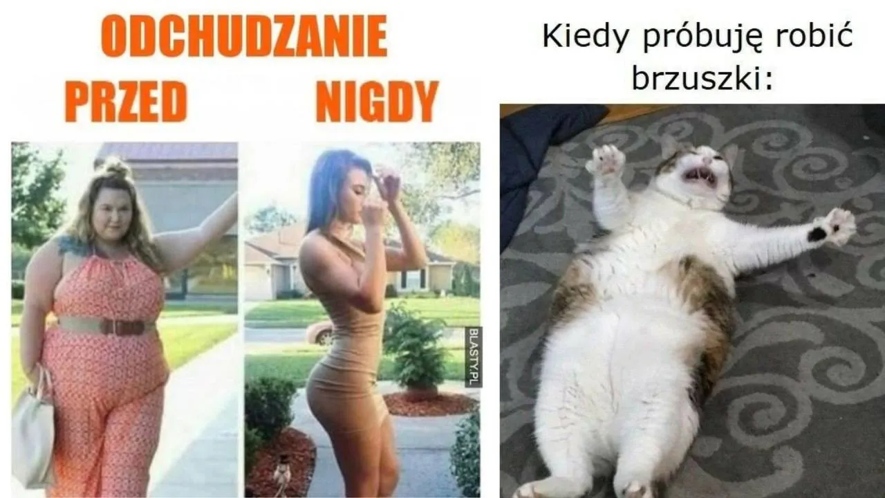 Zdjęcie 1