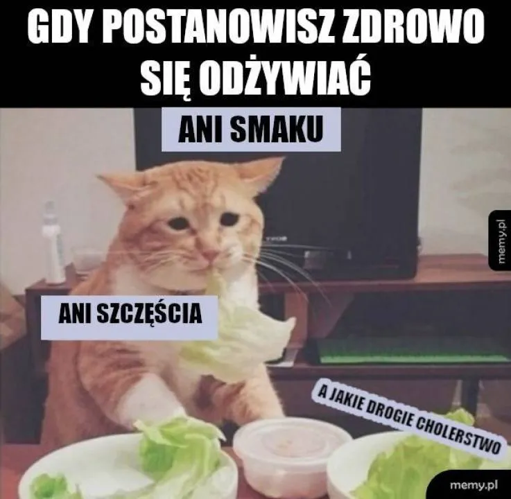 Zdjęcie 5