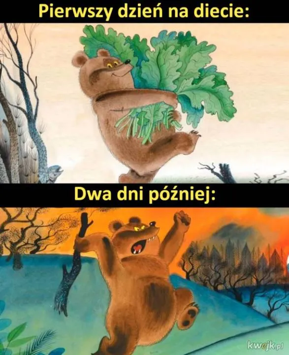 Zdjęcie 16