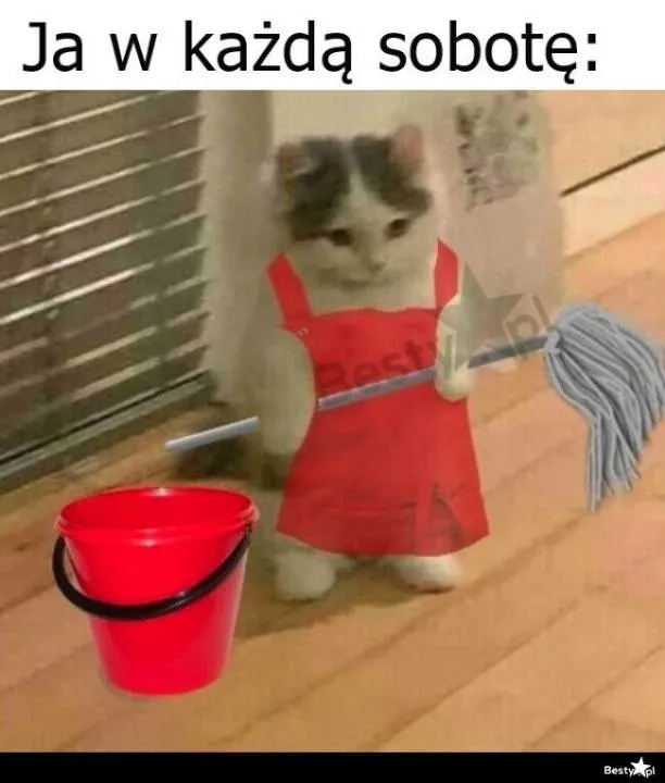 Zdjęcie 20