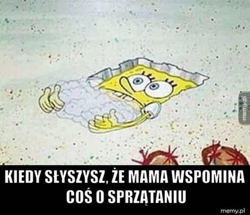 Zdjęcie 22
