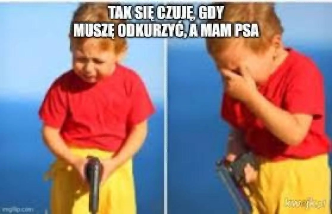 Zdjęcie 28