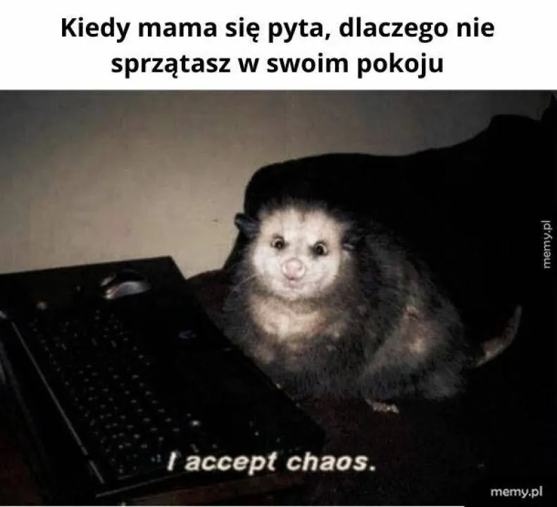 Zdjęcie 45
