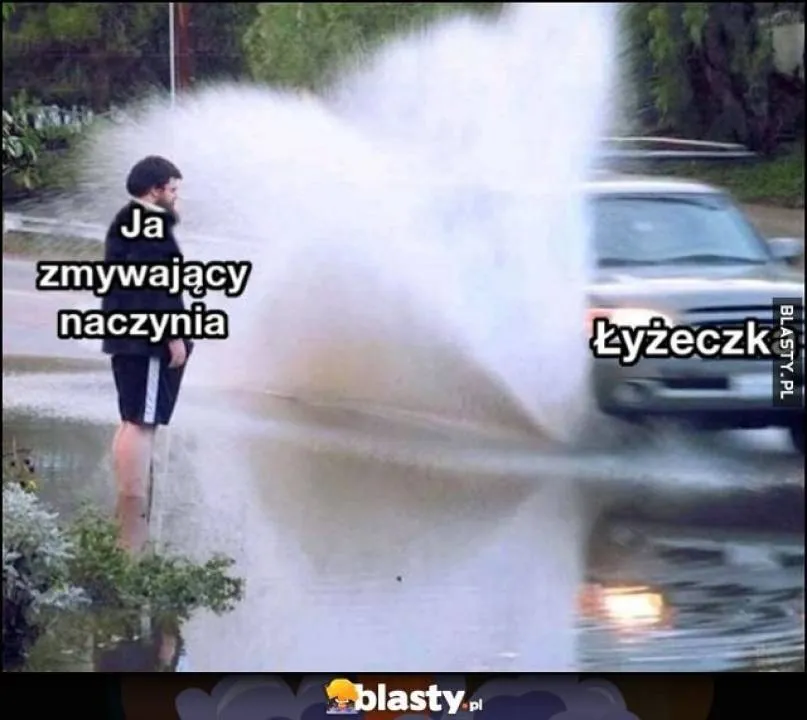 Zdjęcie 47