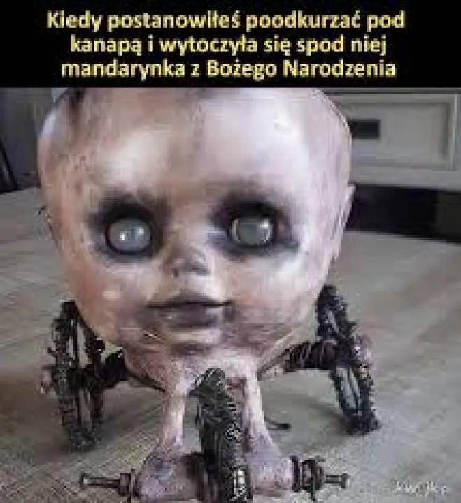 Zdjęcie 17