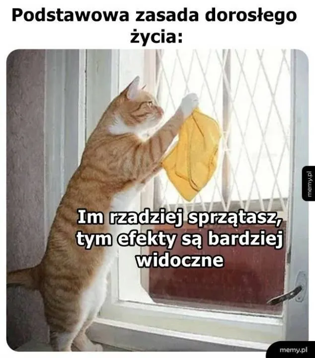 Zdjęcie 4
