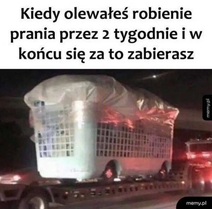 Zdjęcie 41