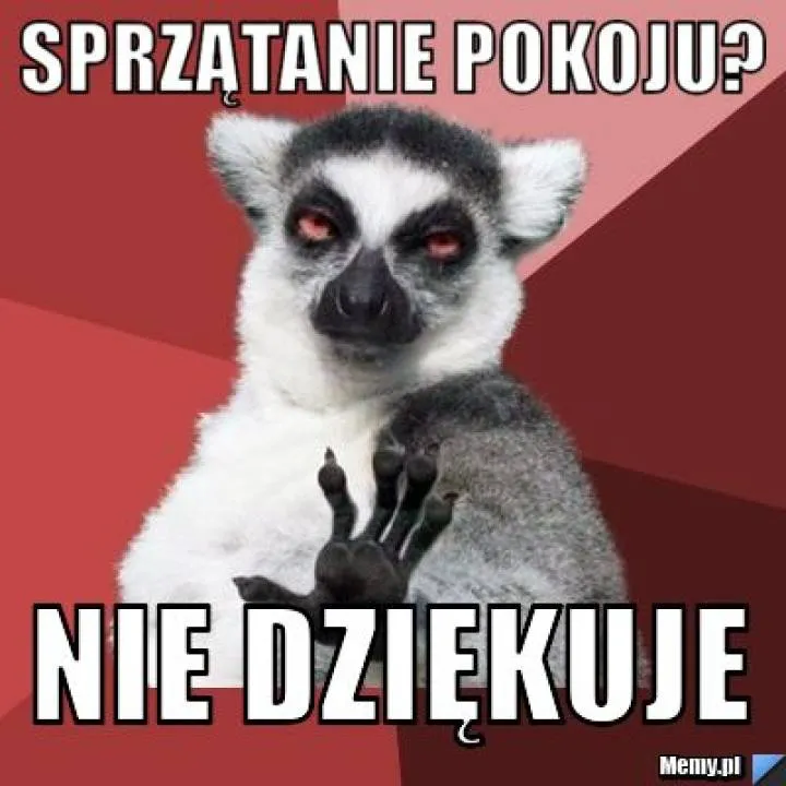 Zdjęcie 23