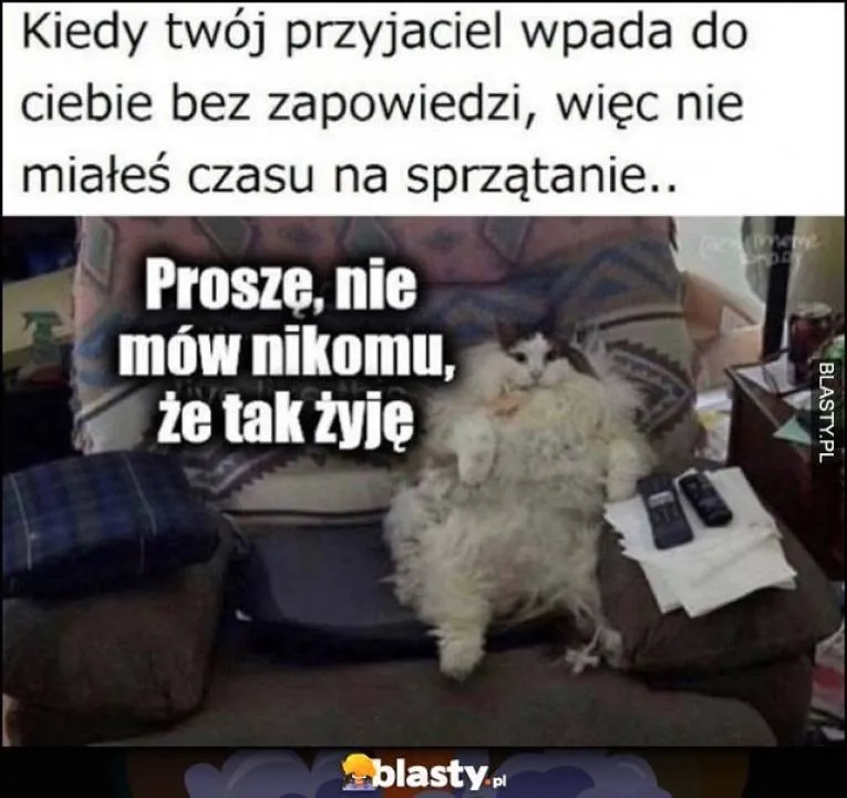 Zdjęcie 31
