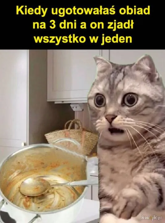 Zdjęcie 43
