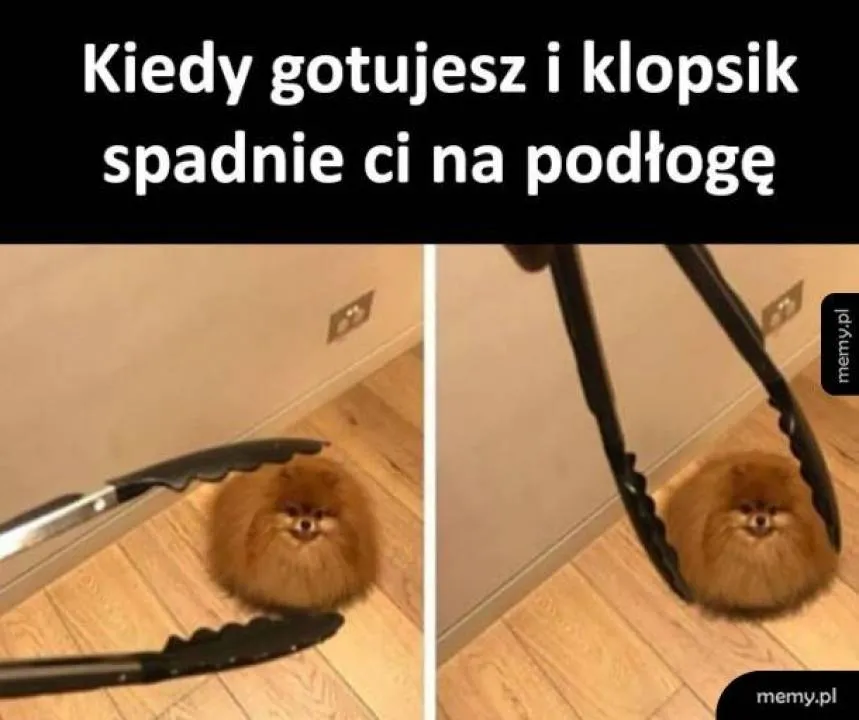 Zdjęcie 28
