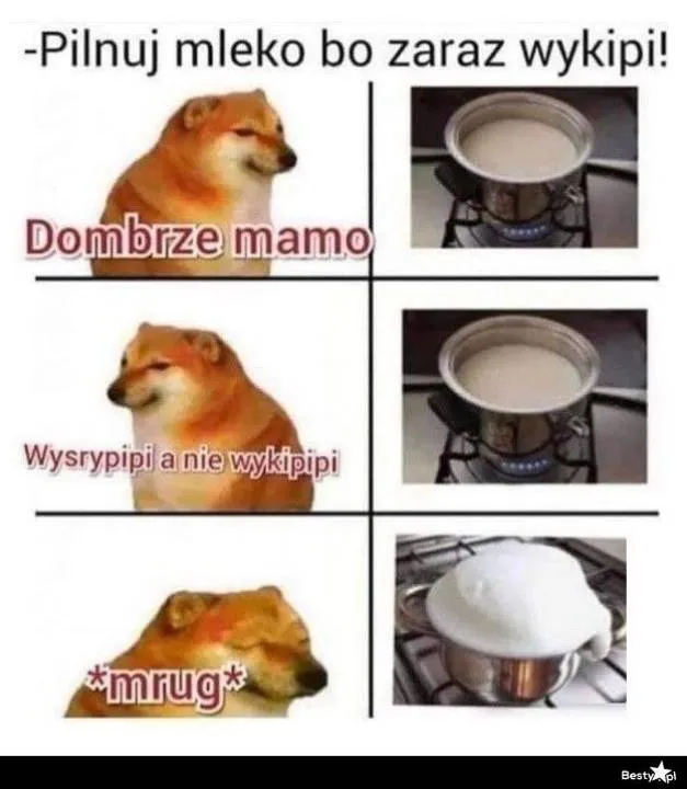 Zdjęcie 12