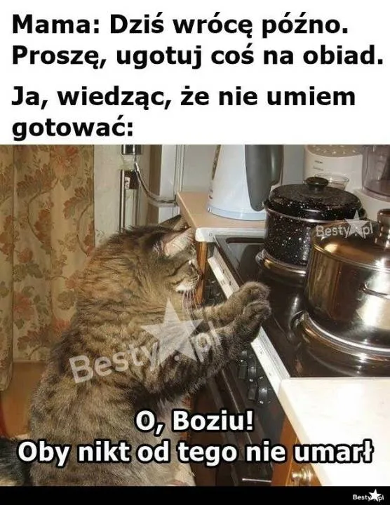 Zdjęcie 10