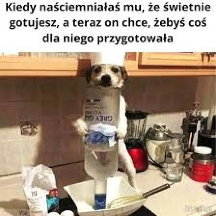 Zdjęcie 29