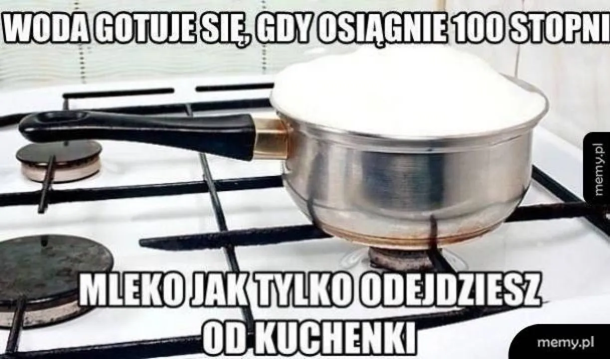 Zdjęcie 30