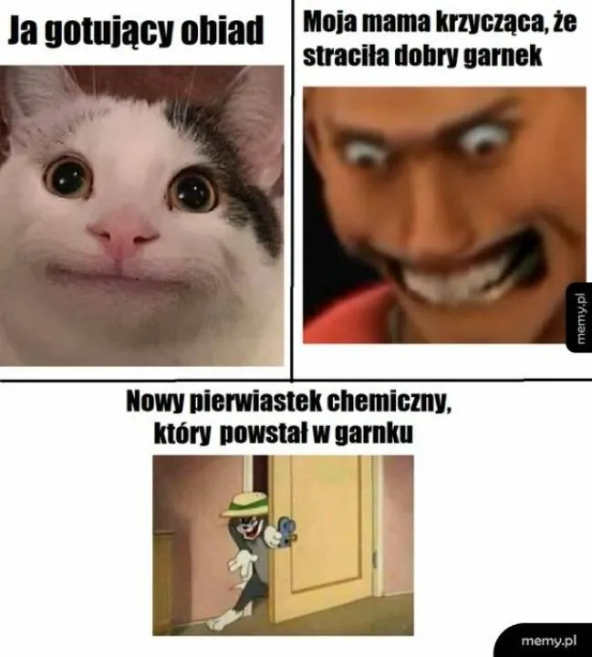 Zdjęcie 13