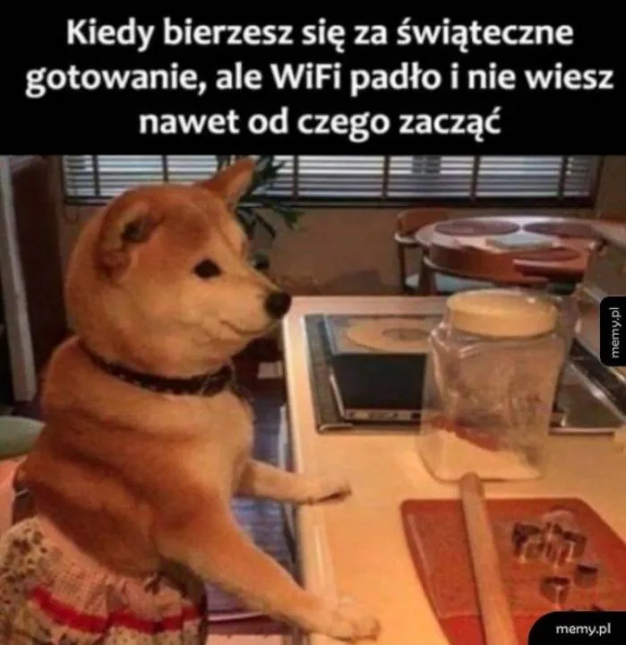 Zdjęcie 23