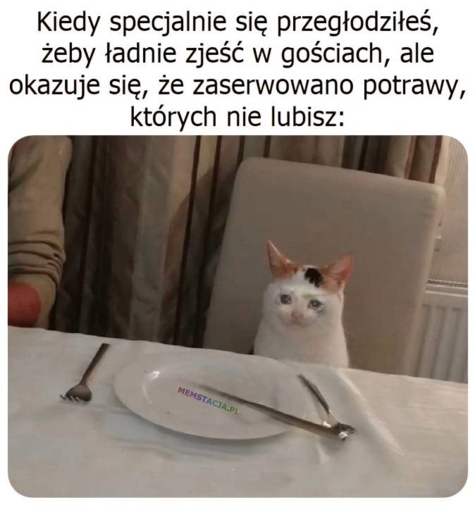 Zdjęcie 44