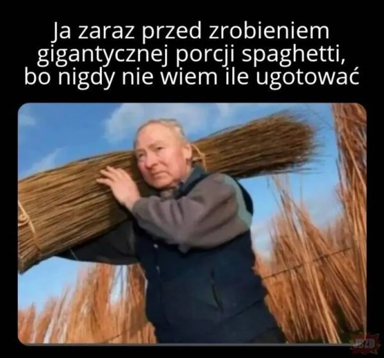 Zdjęcie 47