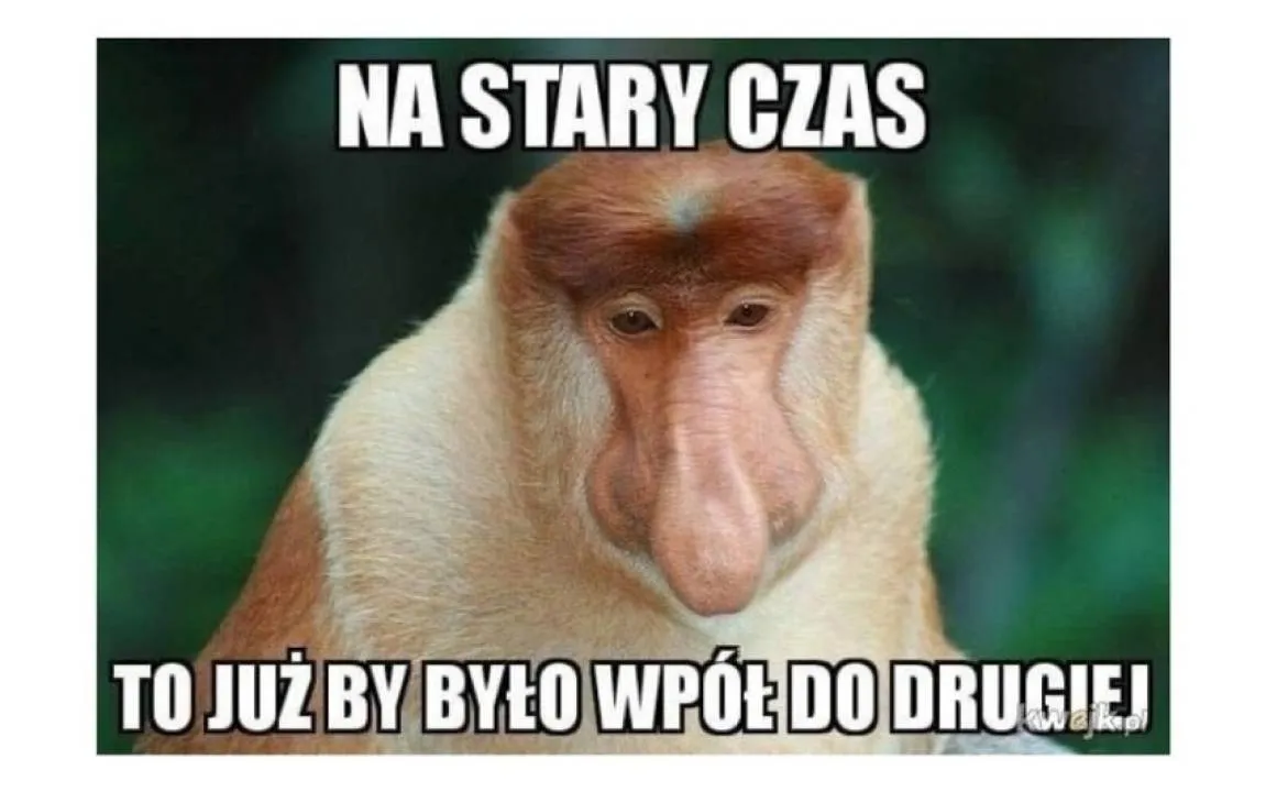 Zdjęcie 3