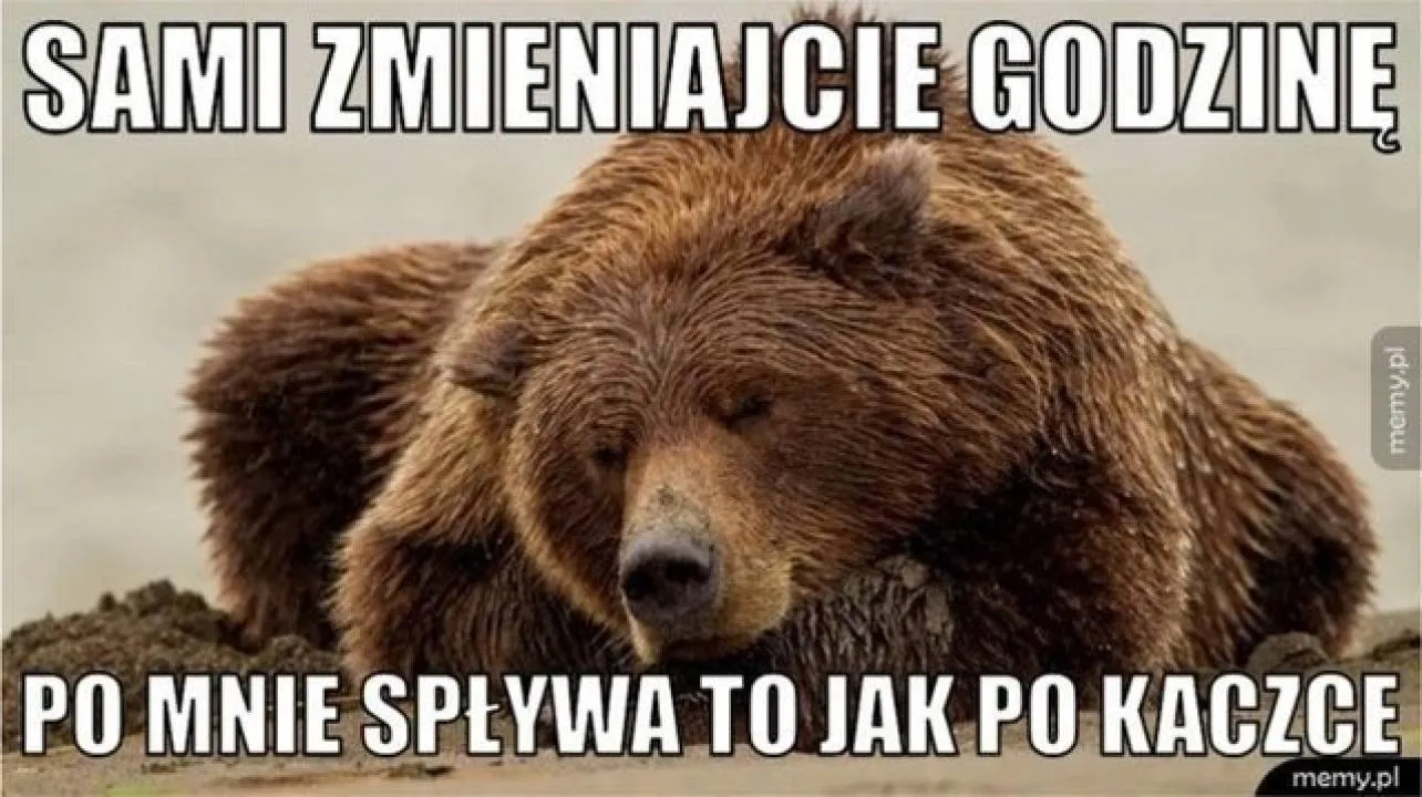 Zdjęcie 23