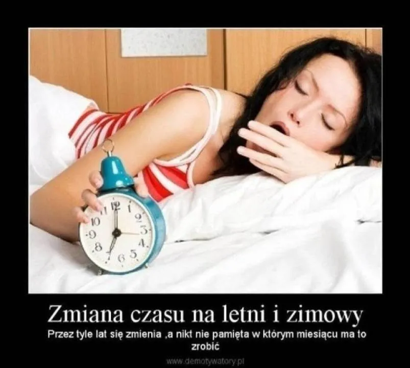 Zdjęcie 11