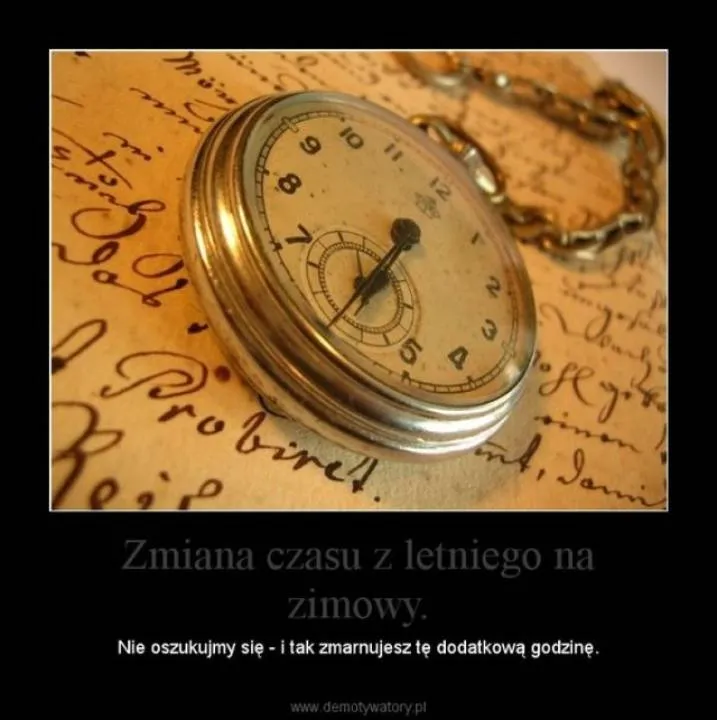 Zdjęcie 29