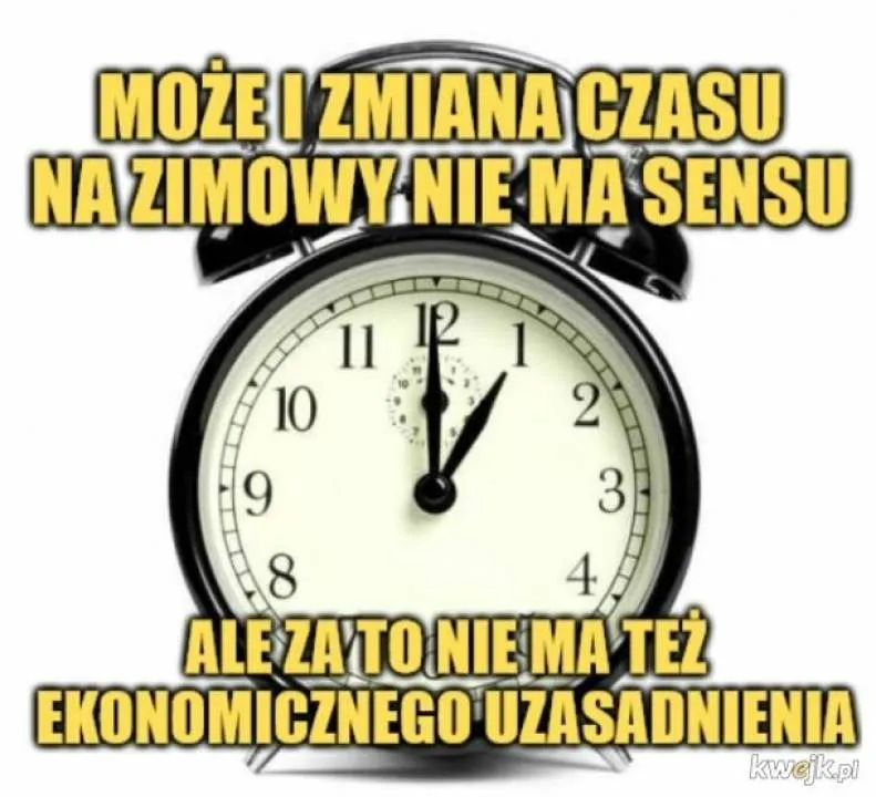 Zdjęcie 19