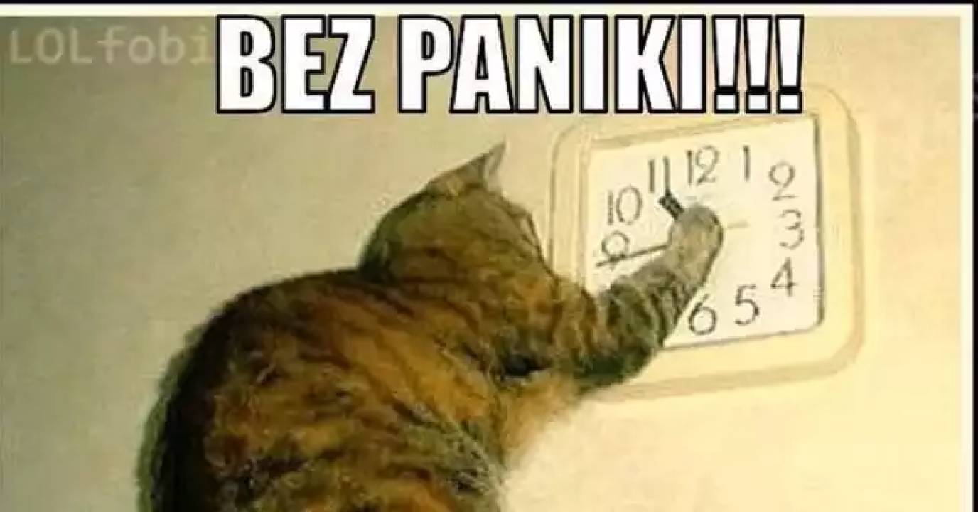 Zdjęcie 10