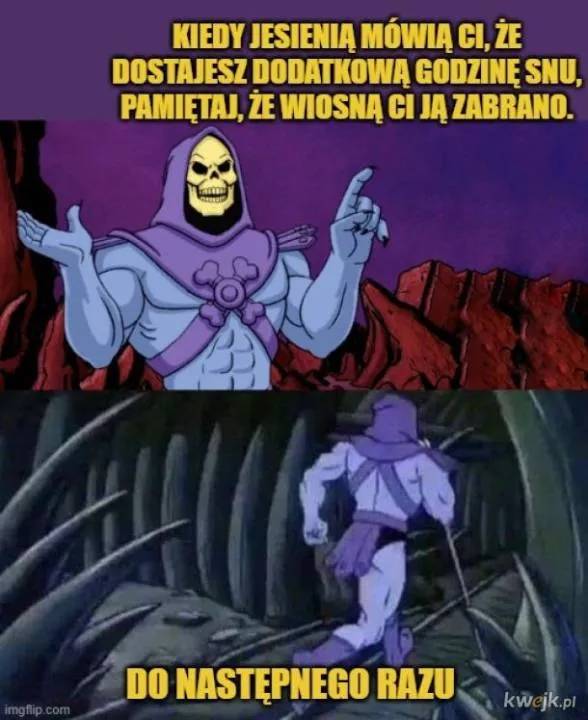 Zdjęcie 30
