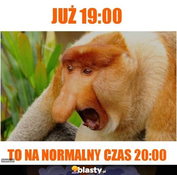 Zdjęcie 17