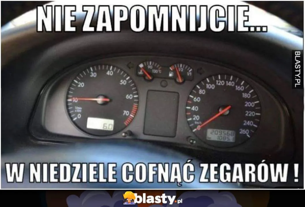 Zdjęcie 31