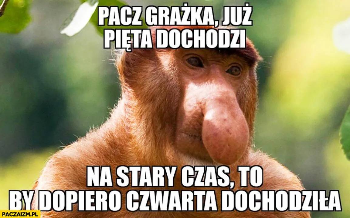 Zdjęcie 15