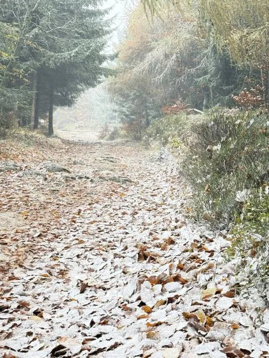 Zdjęcie 7