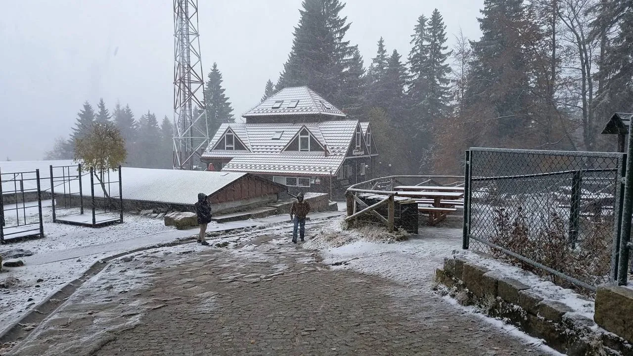 Zdjęcie 8