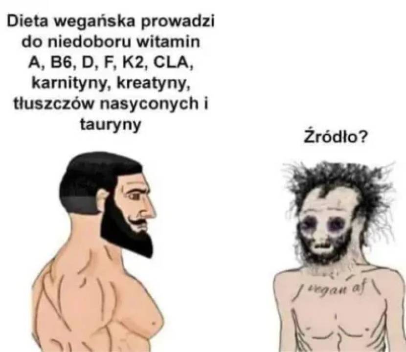 Zdjęcie 28