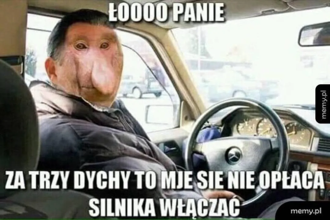 Zdjęcie 1
