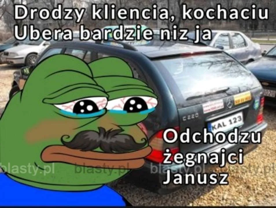 Zdjęcie 15