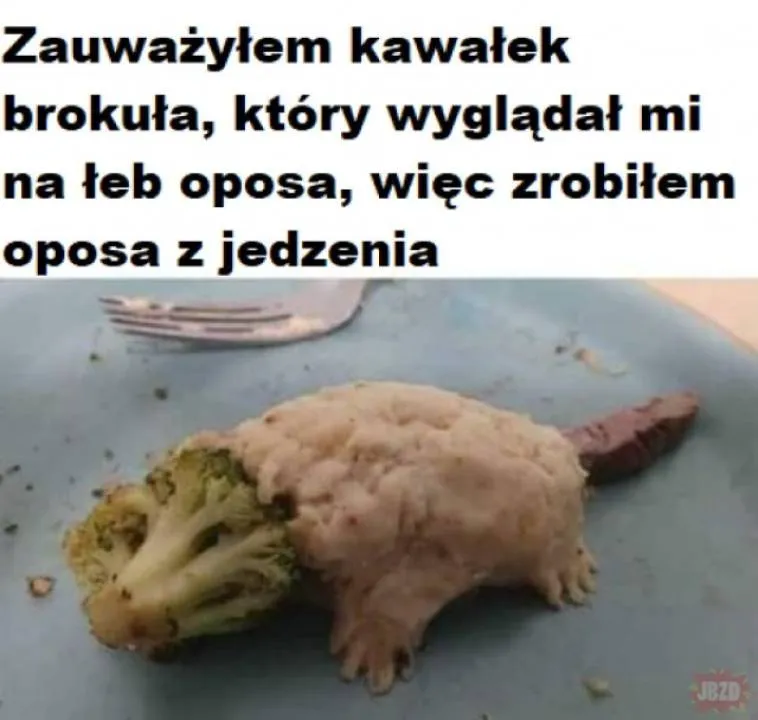Zdjęcie 12