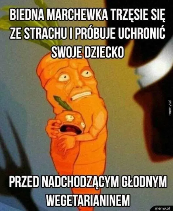 Zdjęcie 10