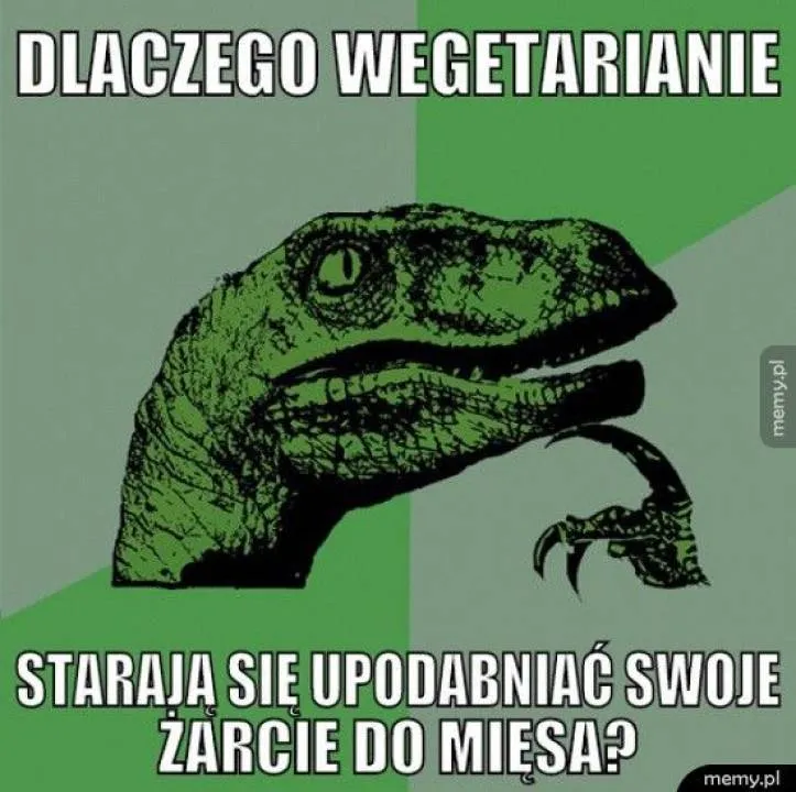 Zdjęcie 8
