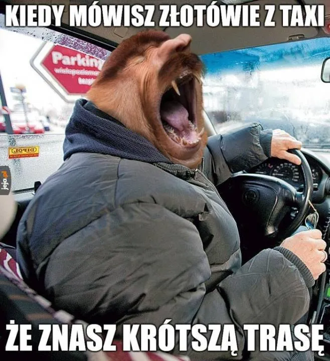 Zdjęcie 6