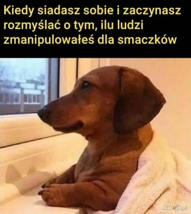 Zdjęcie 47