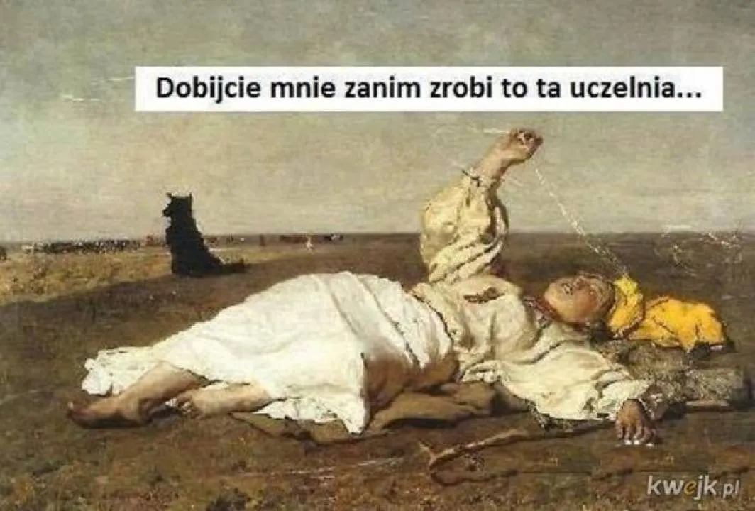 Zdjęcie 24