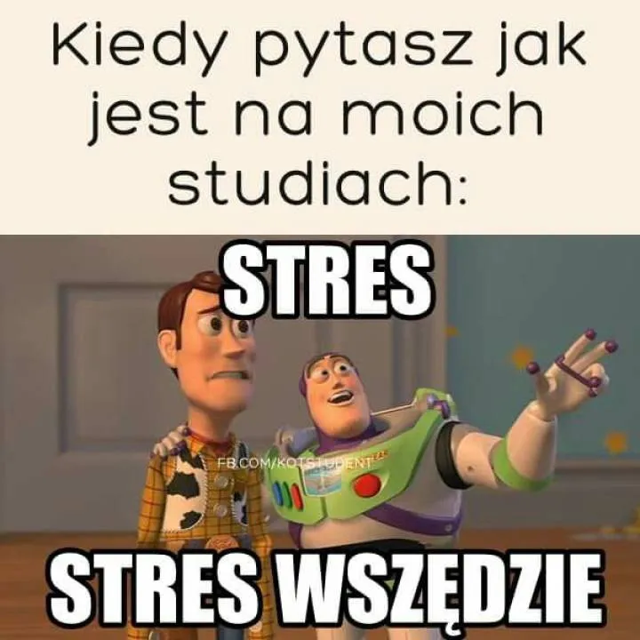 Zdjęcie 43