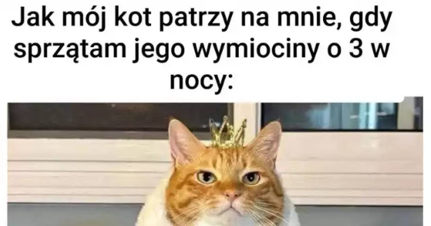 Zdjęcie 17