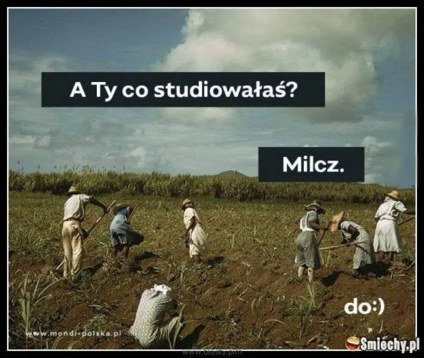 Zdjęcie 4