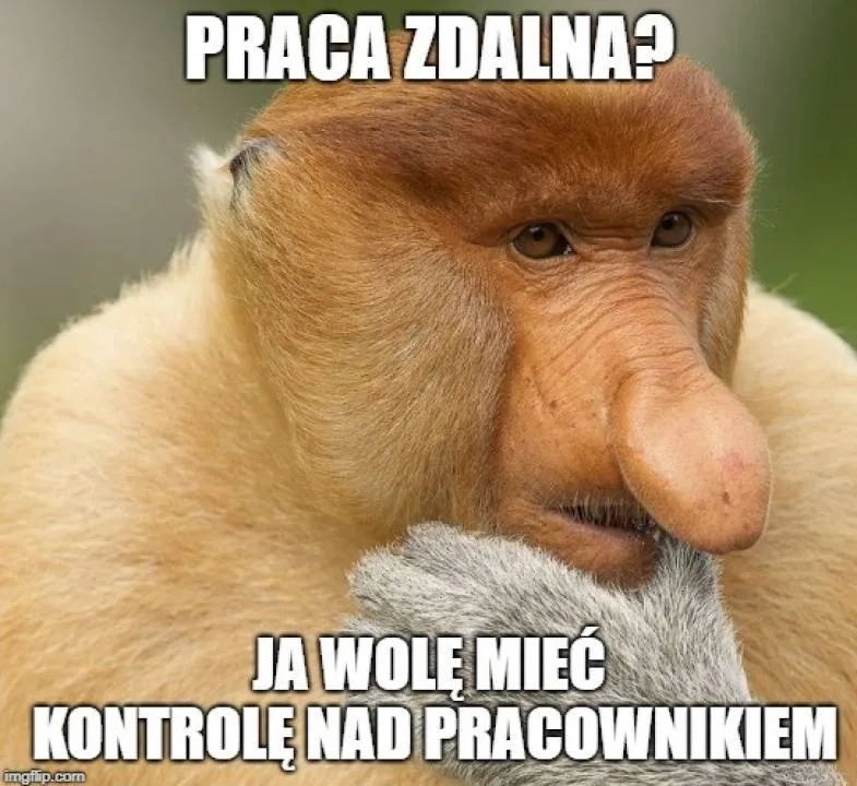 Zdjęcie 44