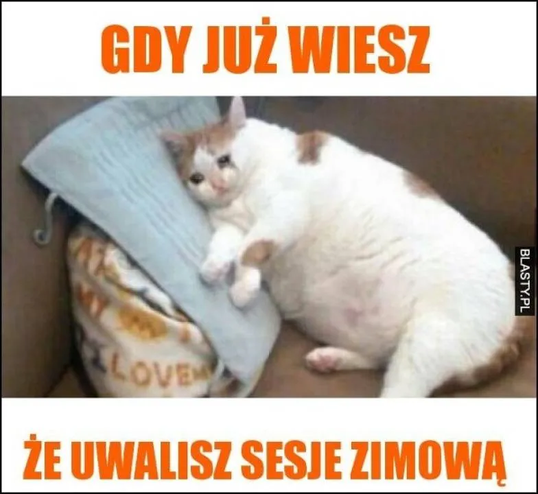 Zdjęcie 21