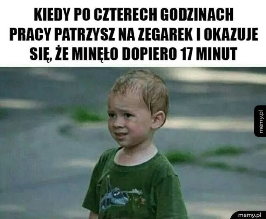 Zdjęcie 10